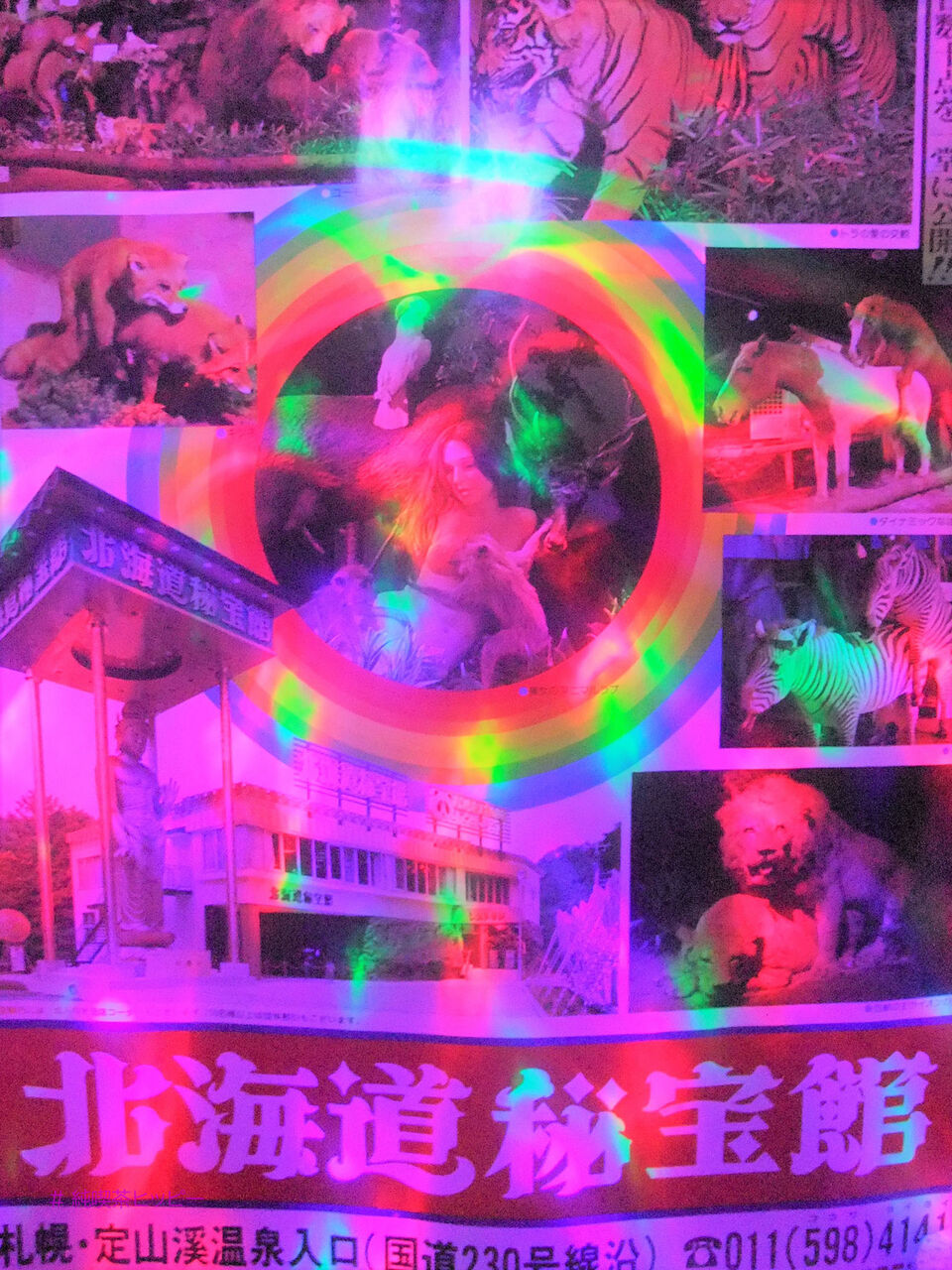 f:id:jkhippie:20200624091623j:plain