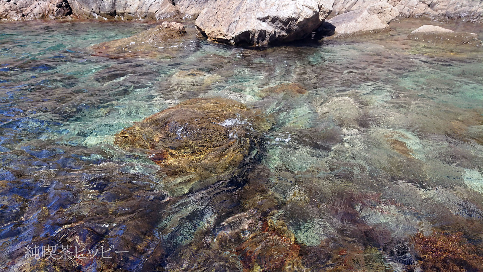 DSCPDC_0001_BURST20220811133021745_COVER