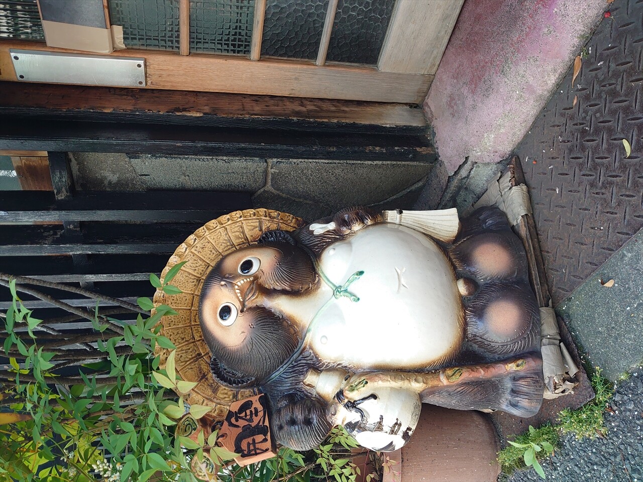 IMG_20240525_103134_R