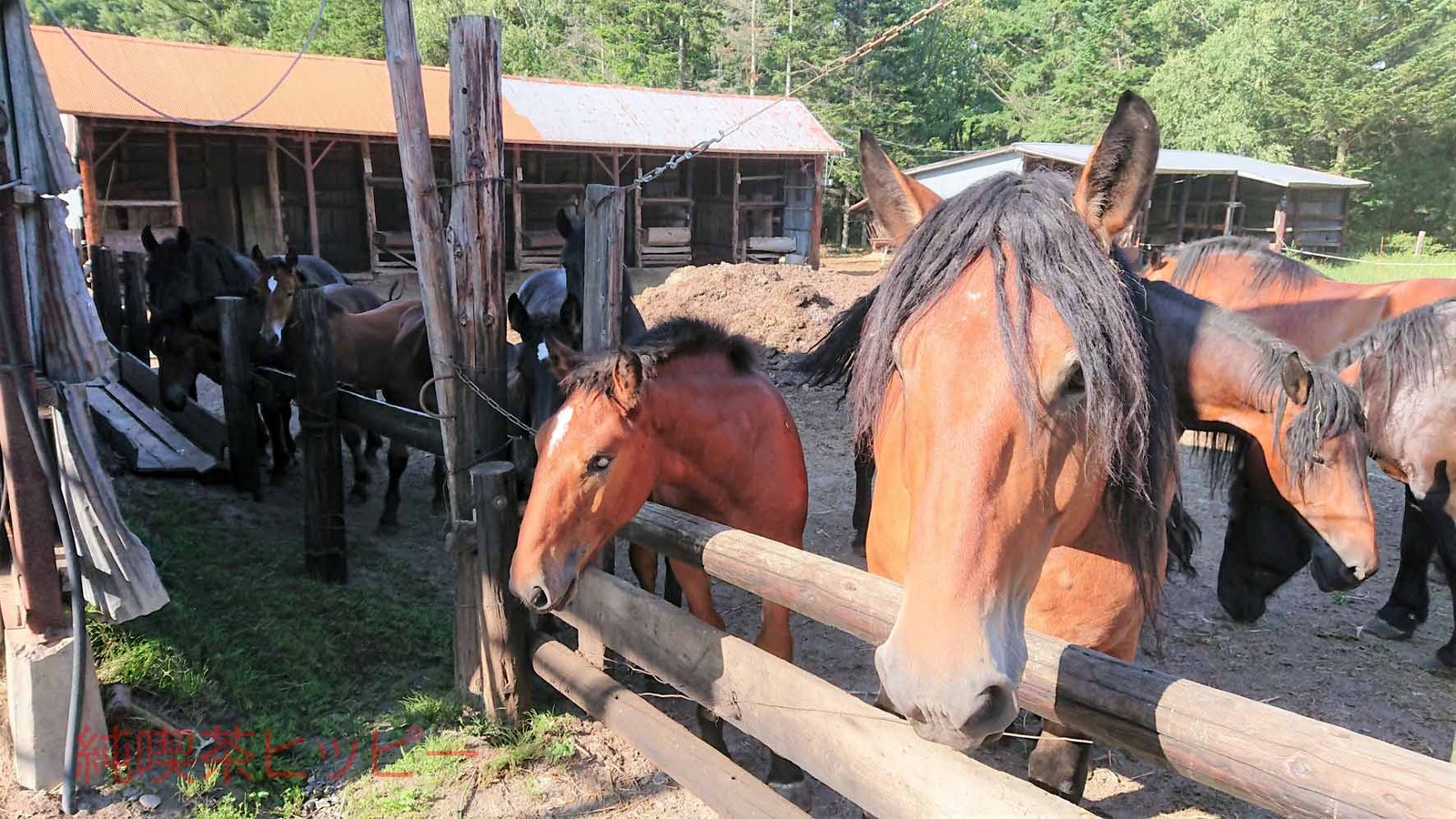 DSCPDC_0001_BURST20200827145708048