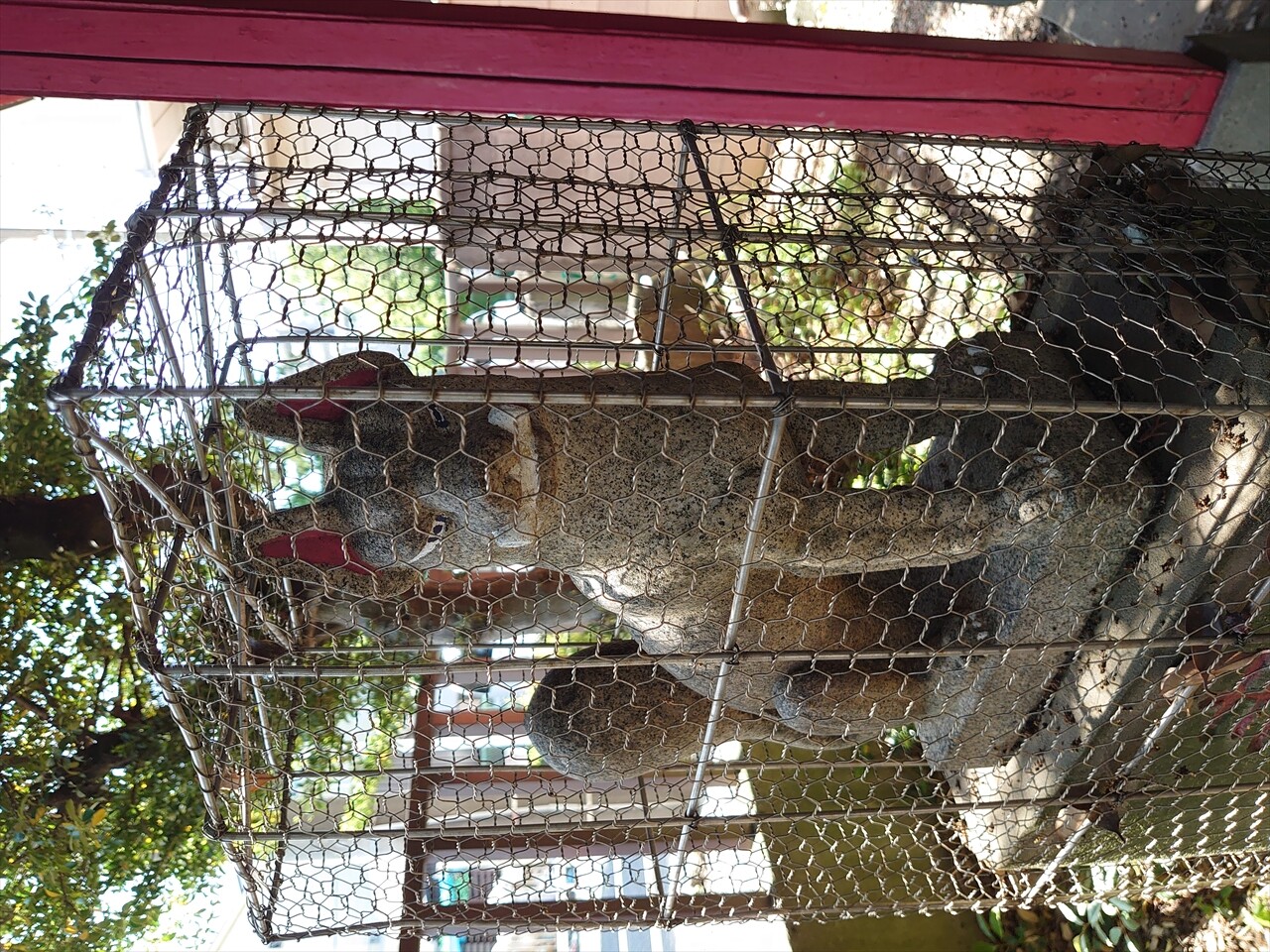 IMG_20240503_141902_R