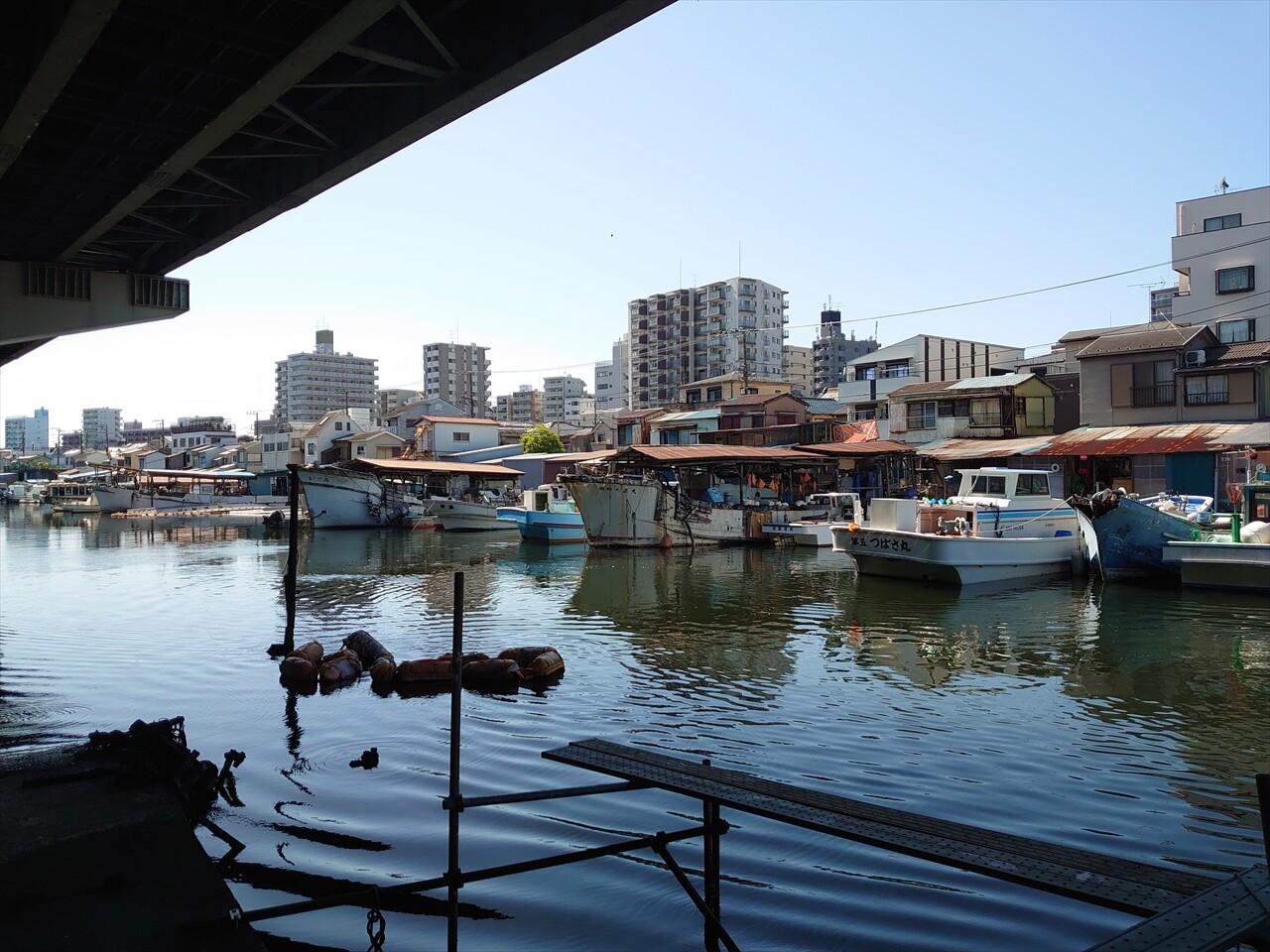 IMG_20240503_141327_R