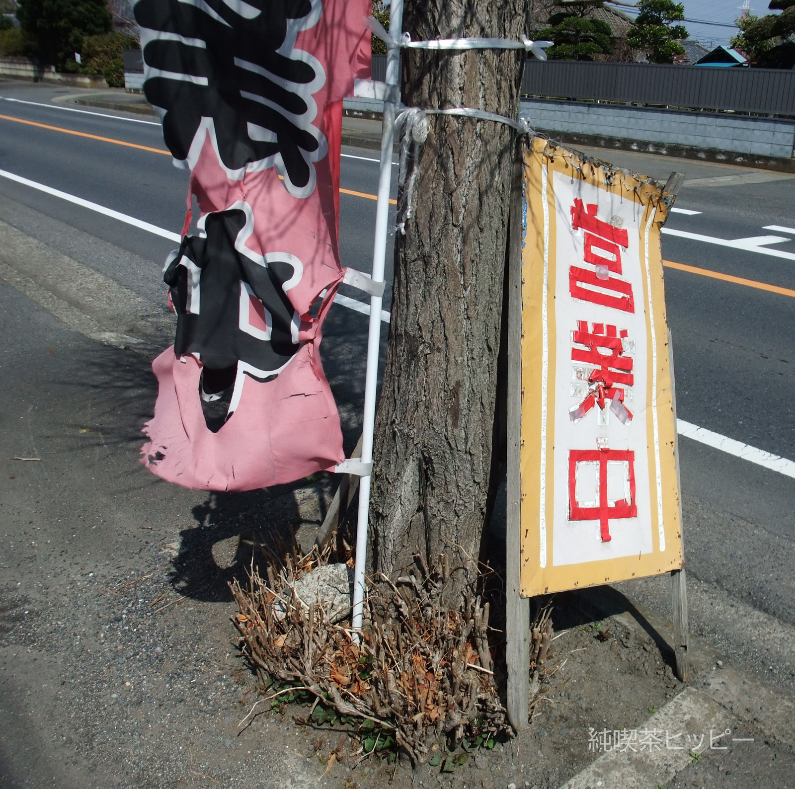 DSCF5205