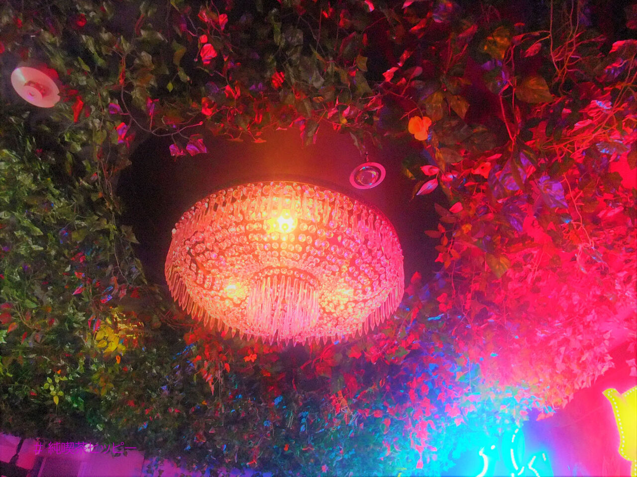 f:id:jkhippie:20200624091546j:plain