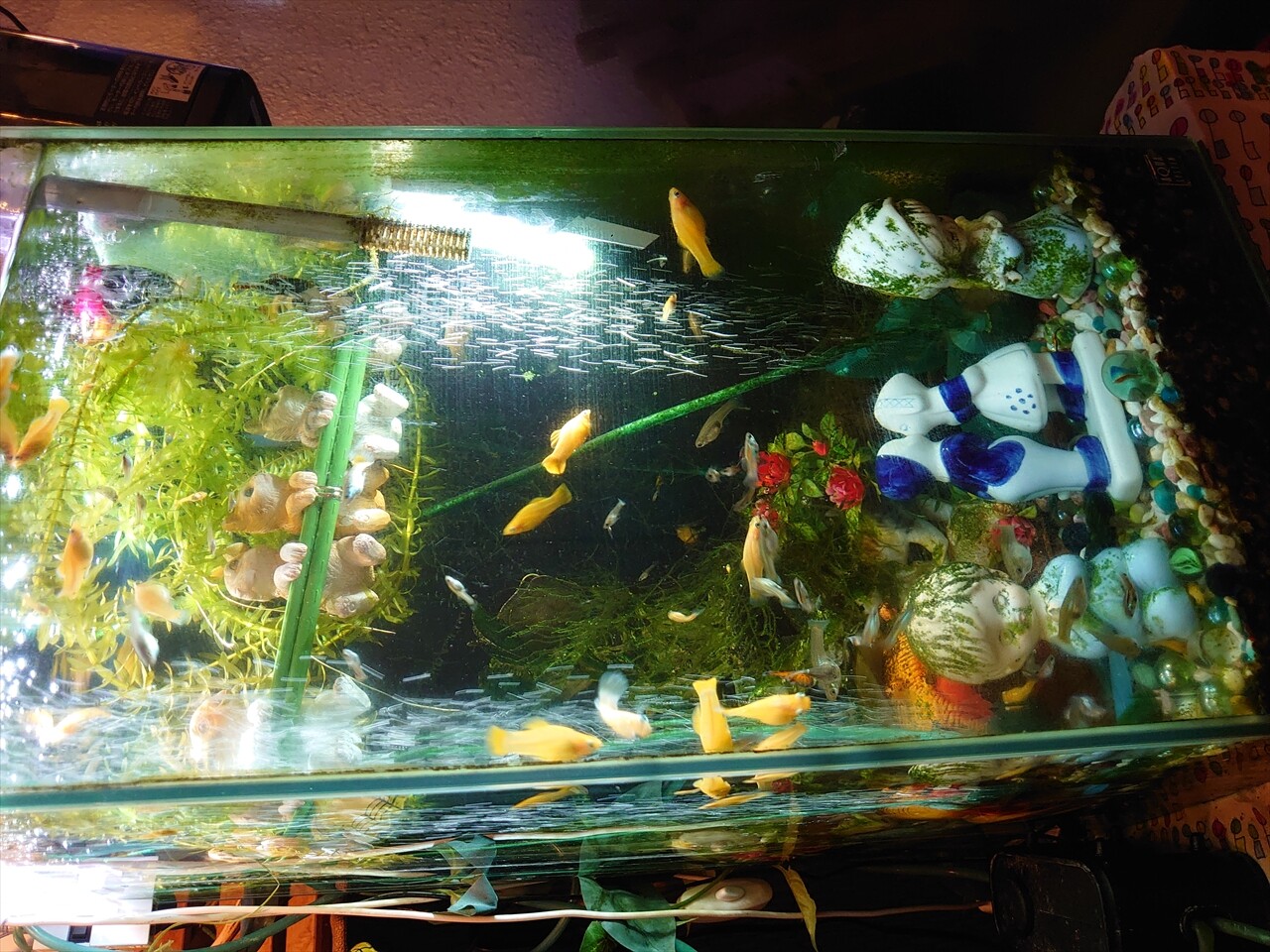 IMG_20250111_163827_R