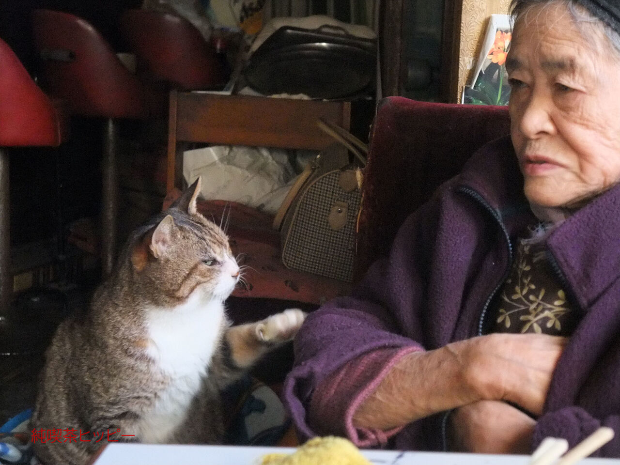 f:id:jkhippie:20200224105649j:plain