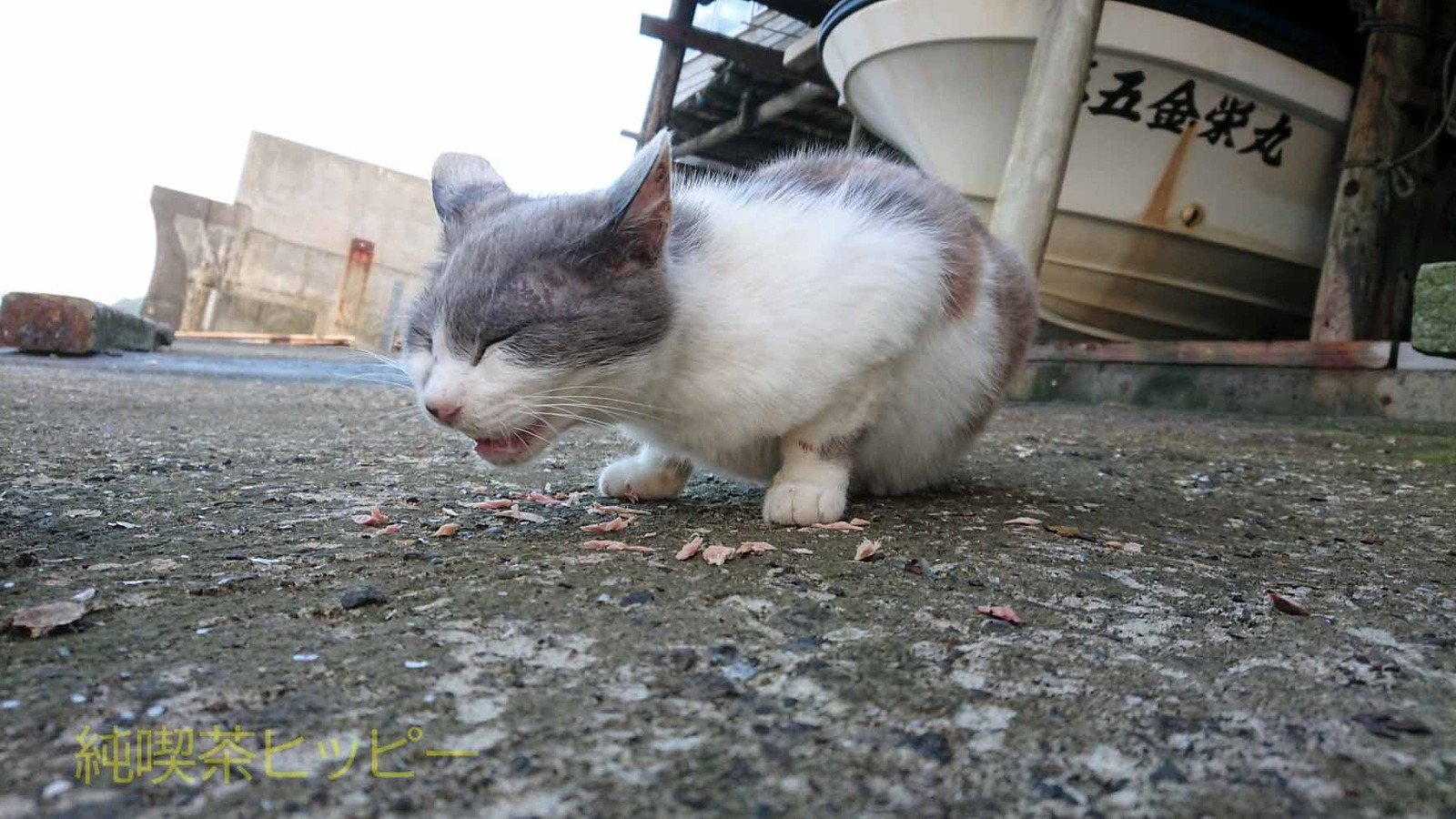 DSCPDC_0001_BURST20210618183024917_COVER