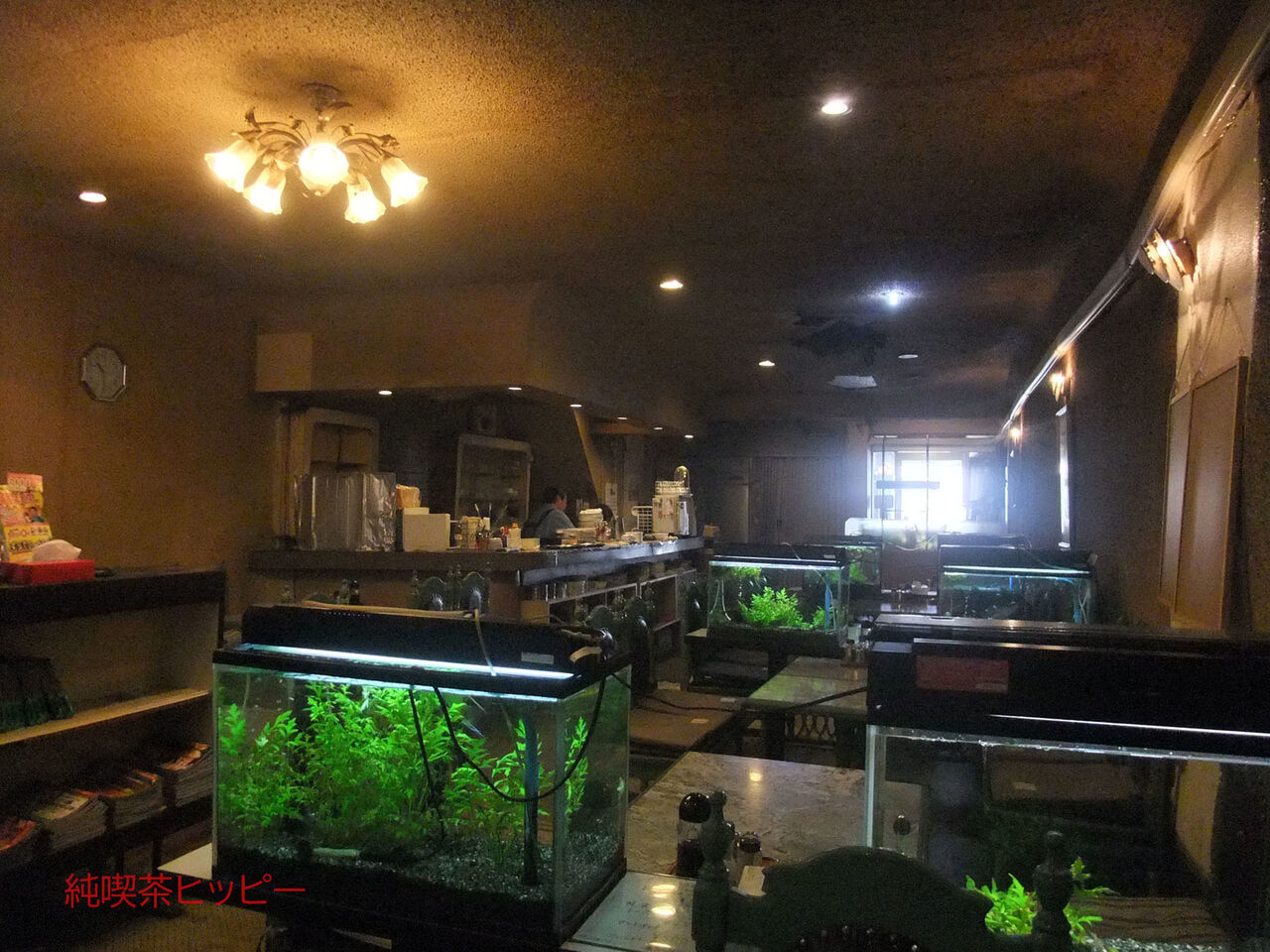 f:id:jkhippie:20200201162118j:plain