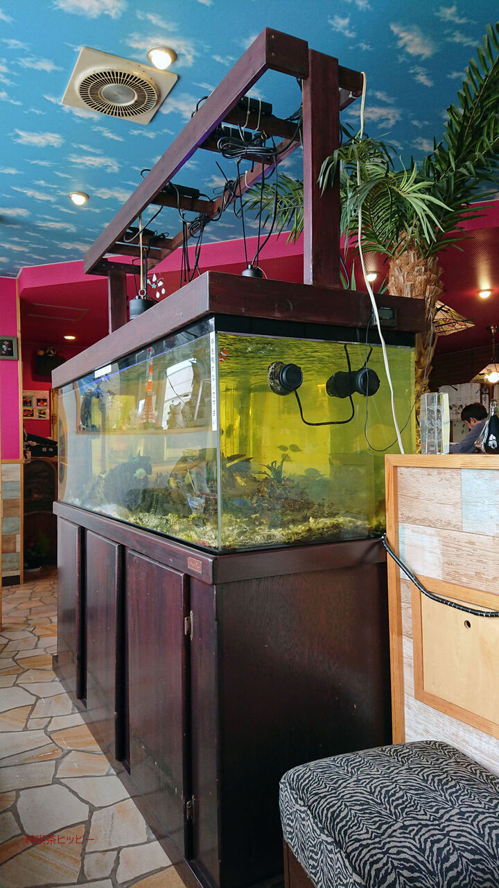 f:id:jkhippie:20200414212230j:plain f:id:jkhippie:20200414212230j:plain