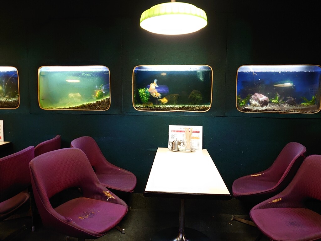 IMG_20240323_170642_R