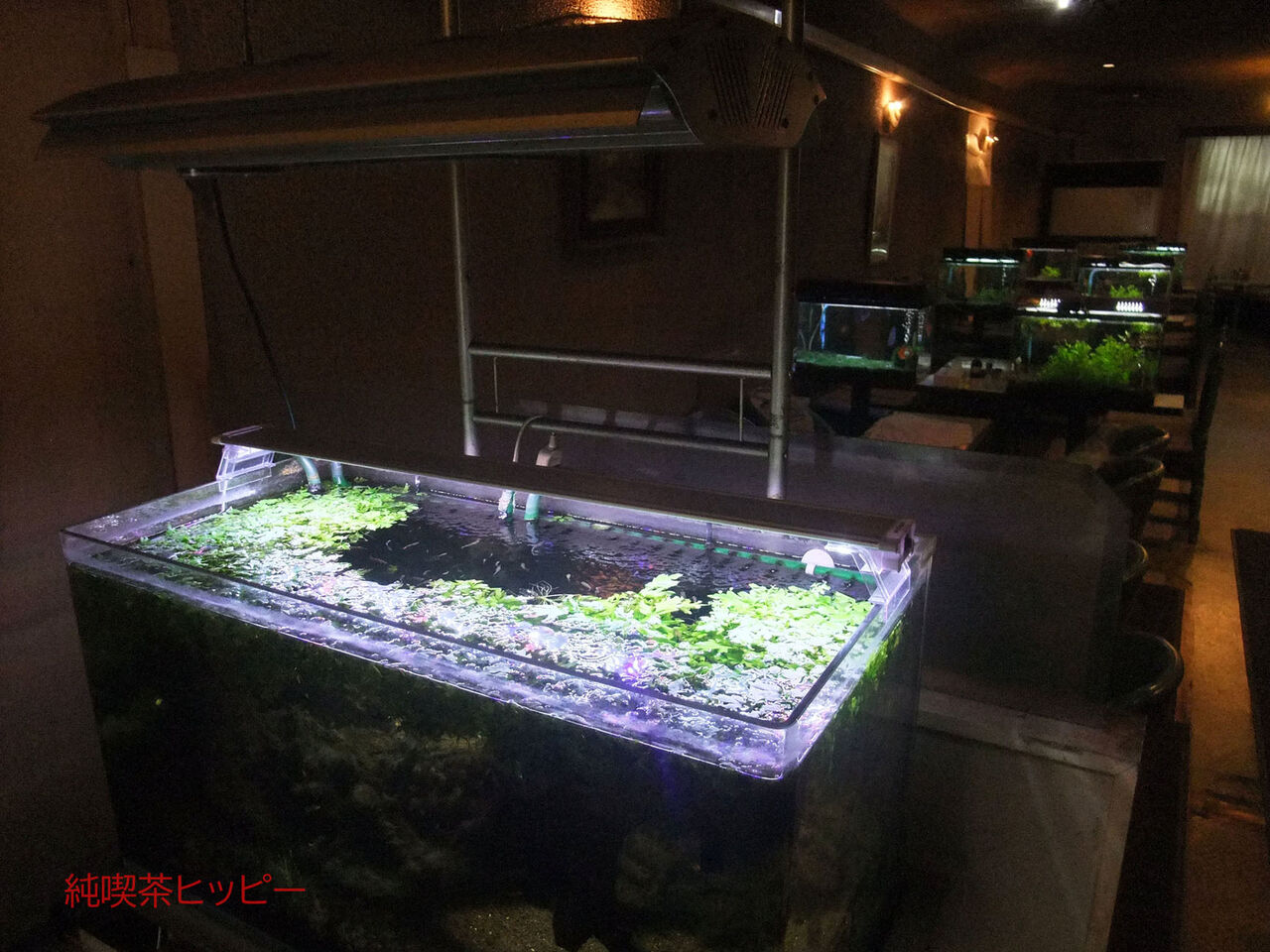 f:id:jkhippie:20200201162201j:plain