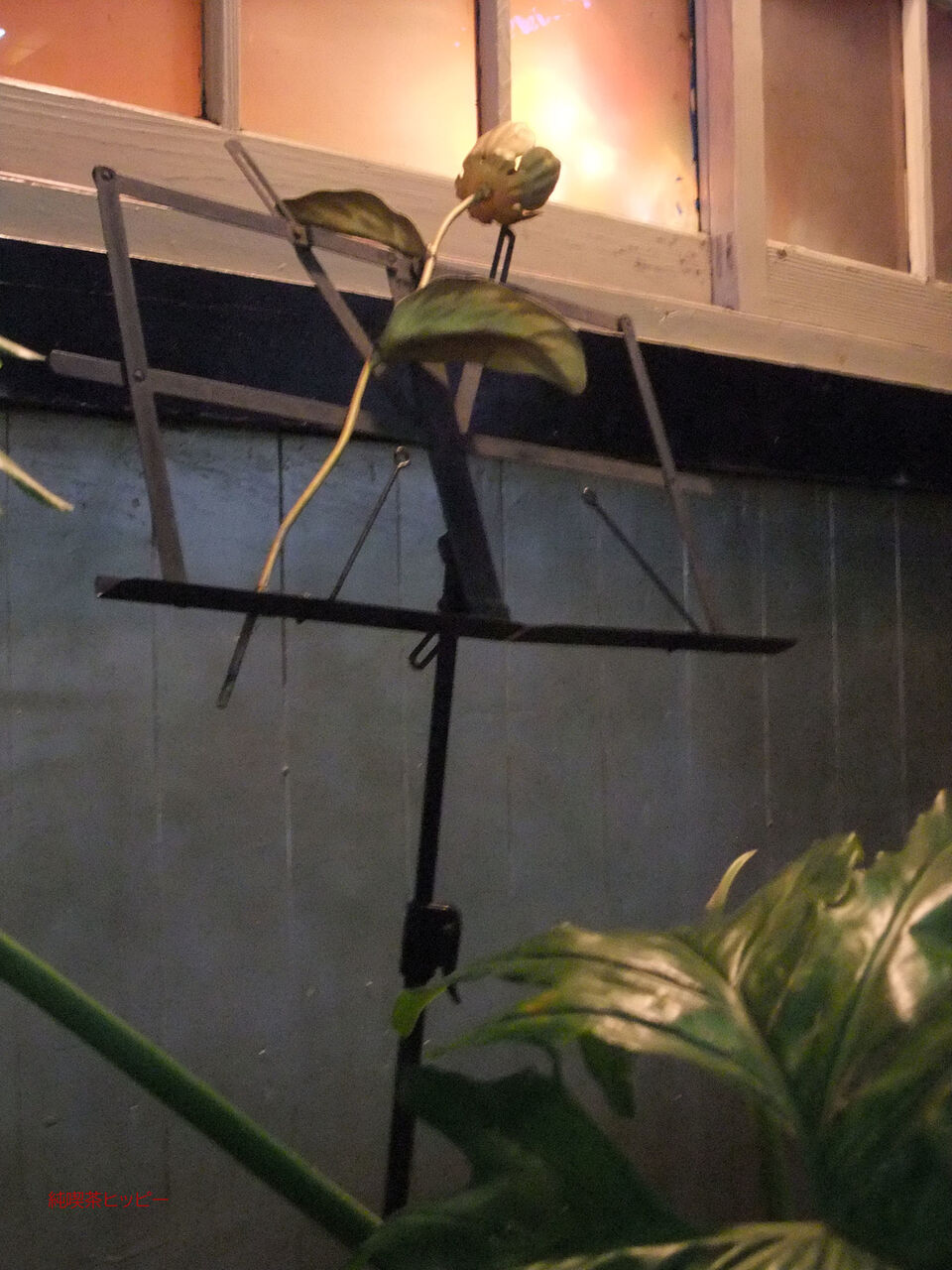 f:id:jkhippie:20200423202238j:plain