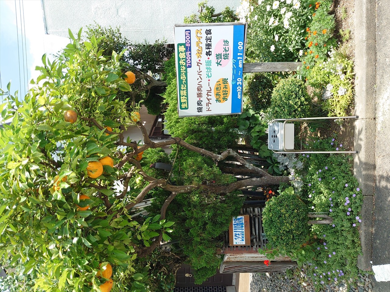 IMG_20240622_104922_R