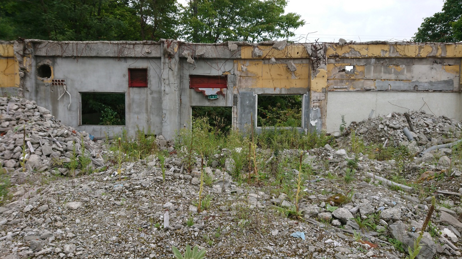 DSC_0000_BURST20200912155558627