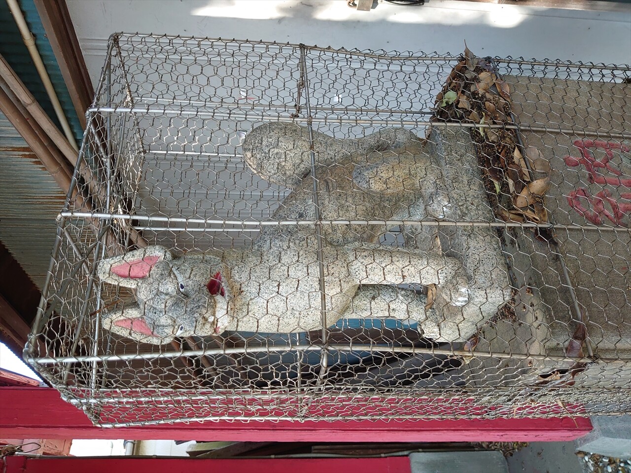 IMG_20240503_141854_R