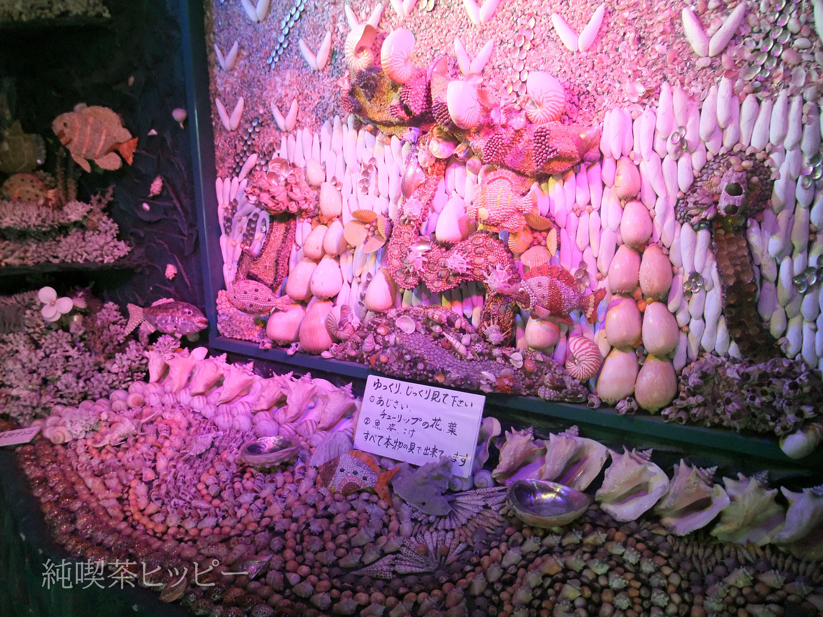 DSCF3244