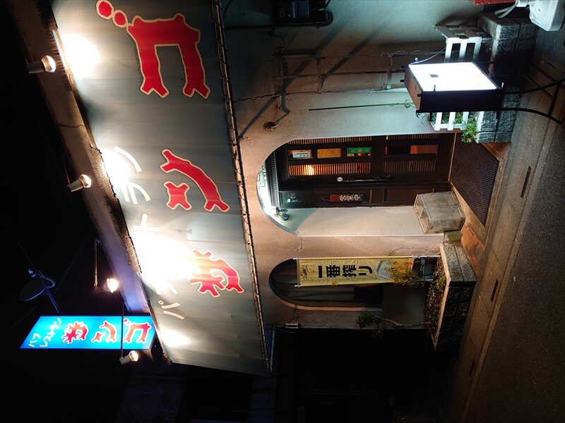 IMG_20250419_200138_R