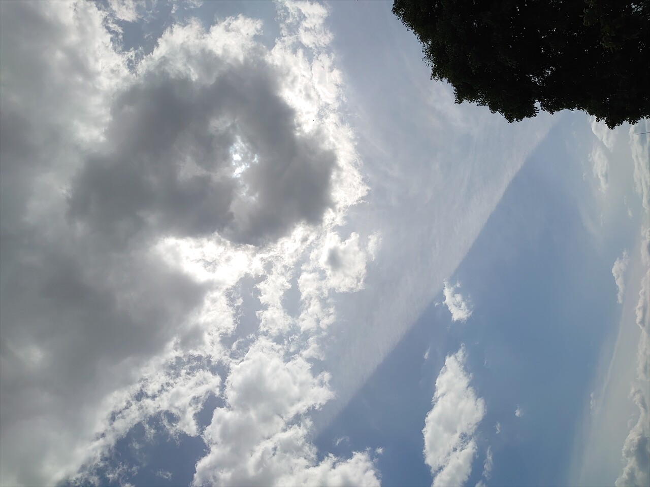 IMG_20240502_141007_R