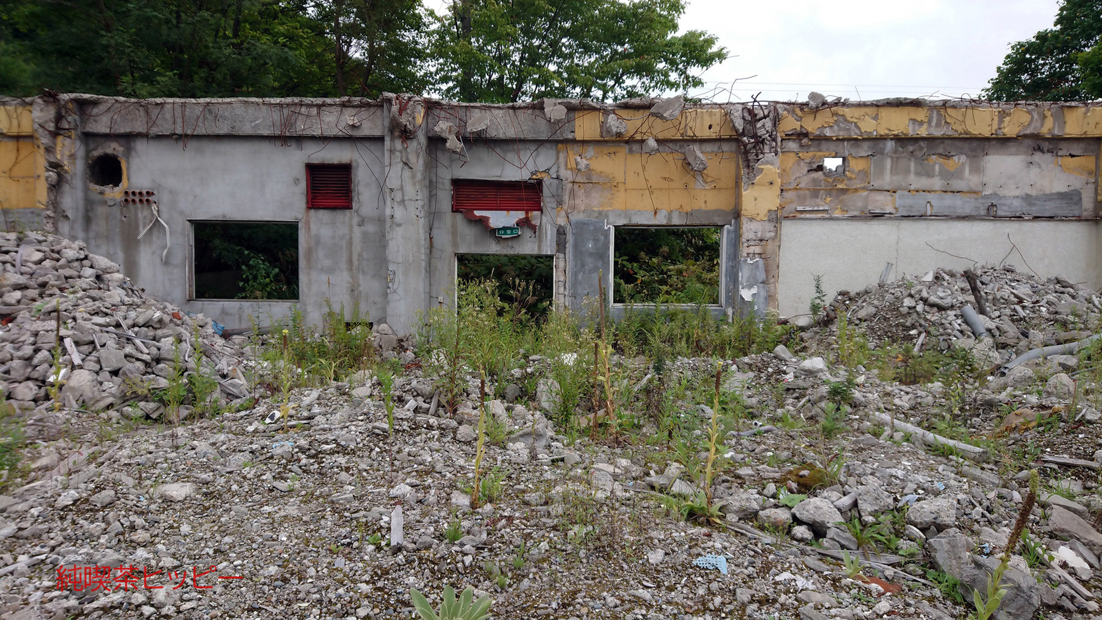 DSC_0000_BURST20200912155558627