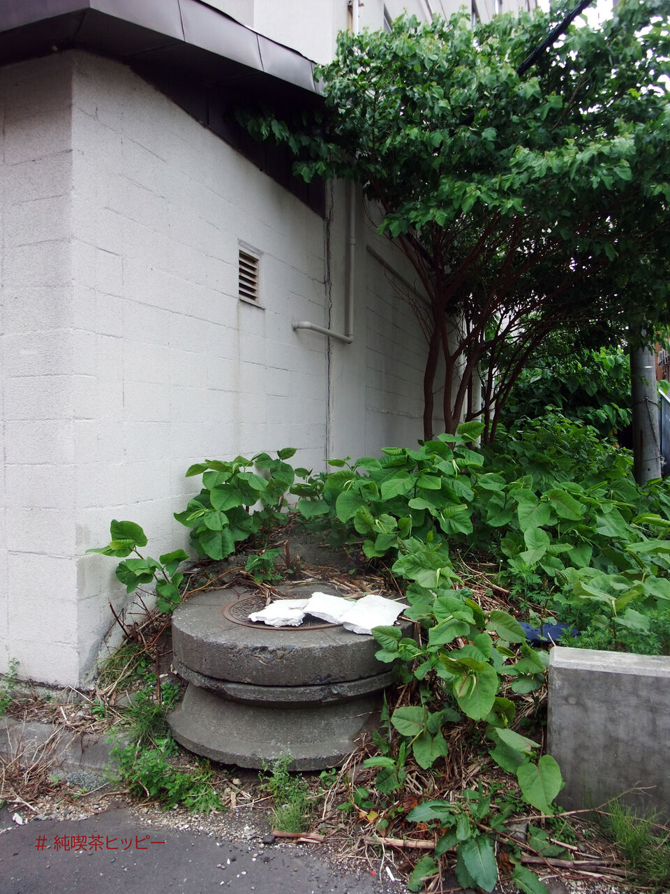 f:id:jkhippie:20200903202836j:plain f:id:jkhippie:20200903202836j:plain