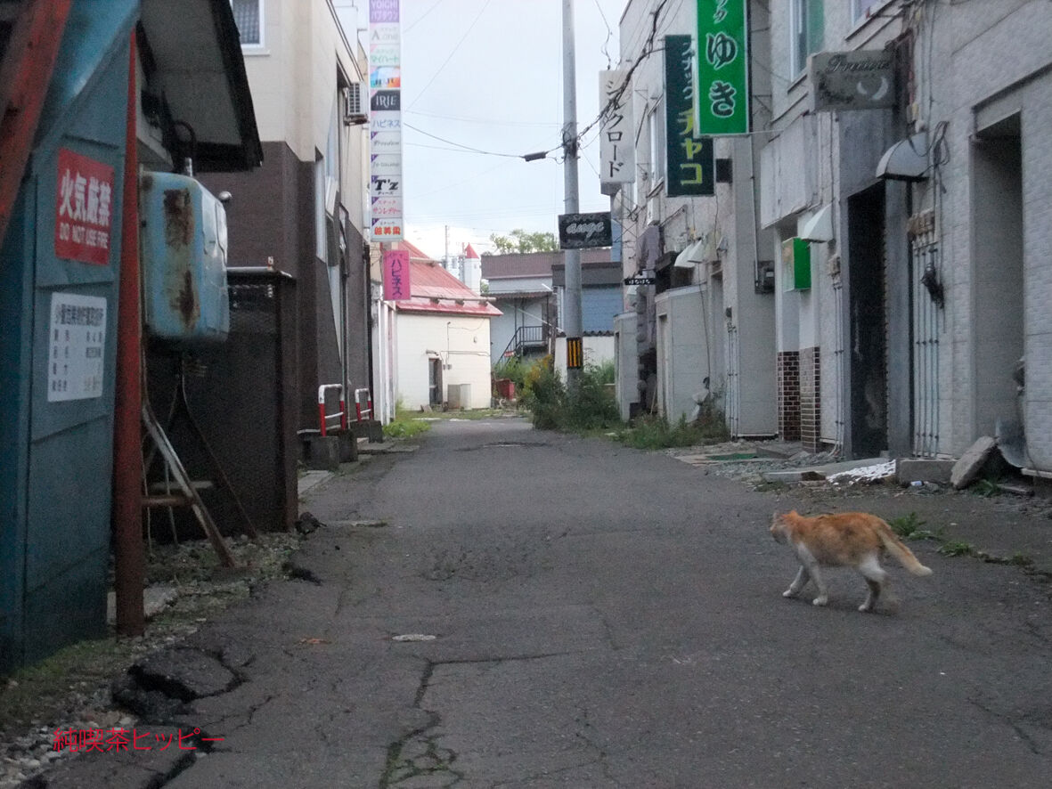 f:id:jkhippie:20191031210940j:plain