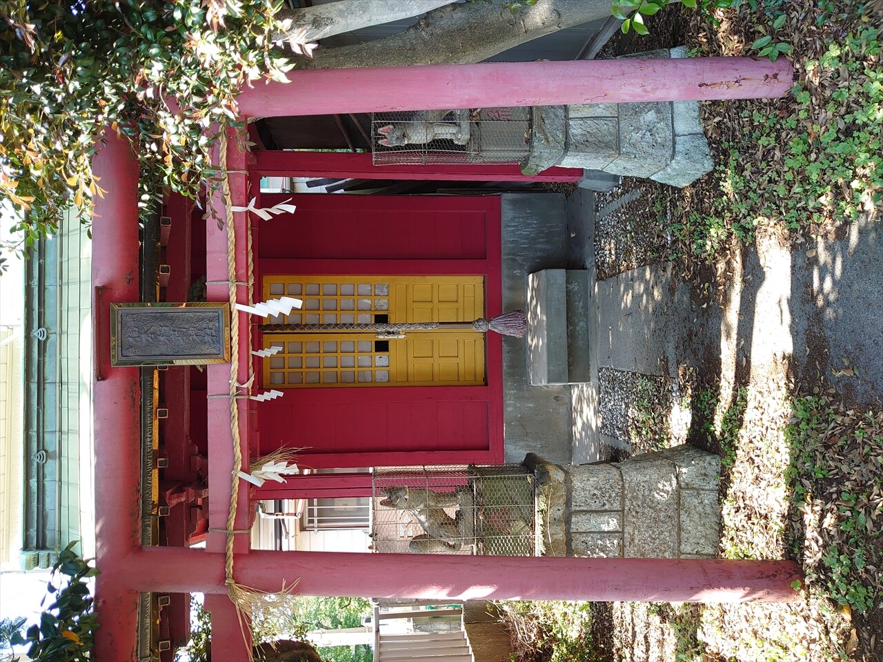 IMG_20240503_141844_R