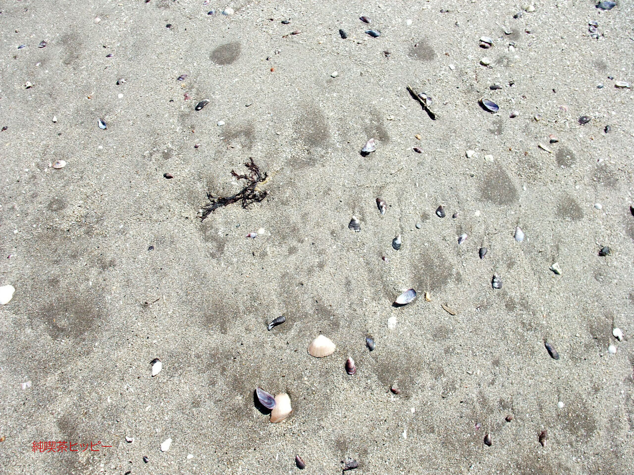 f:id:jkhippie:20200418203640j:plain