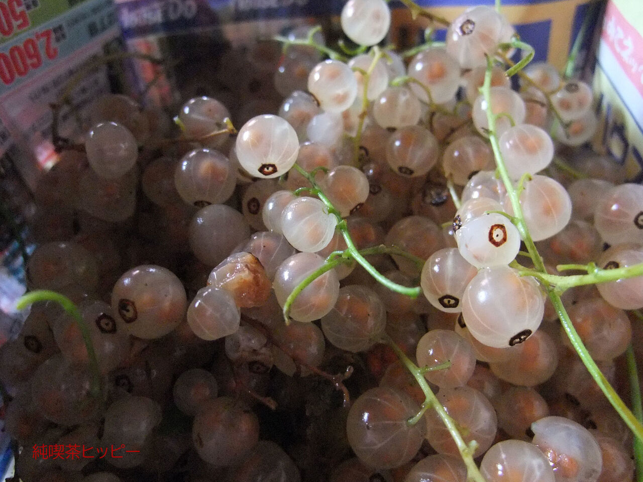 f:id:jkhippie:20200224105502j:plain