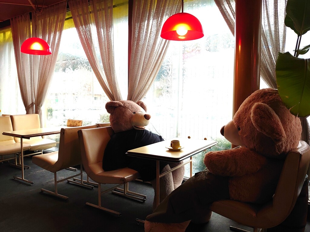 IMG_20240323_150158_R