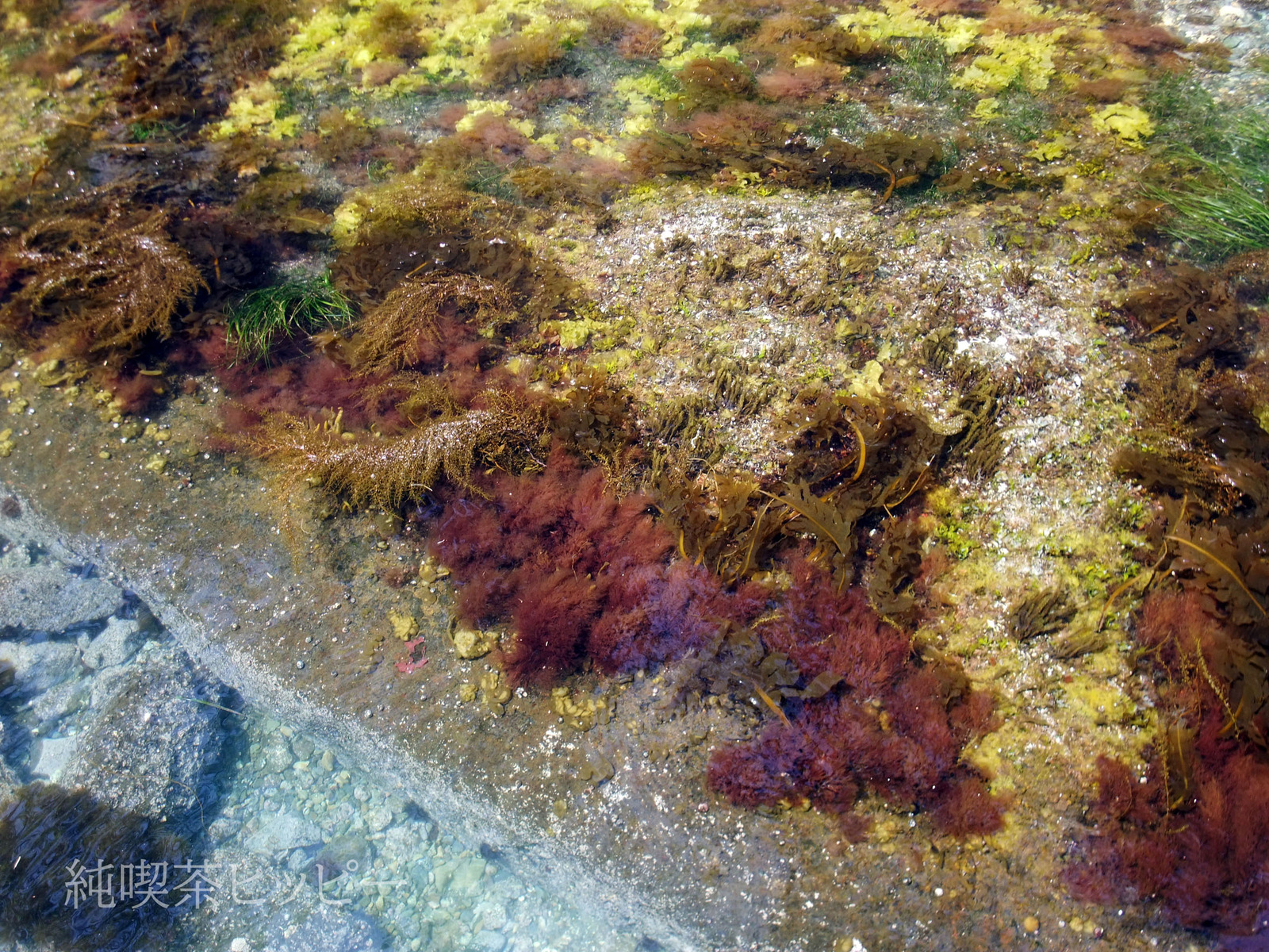 DSCF6047