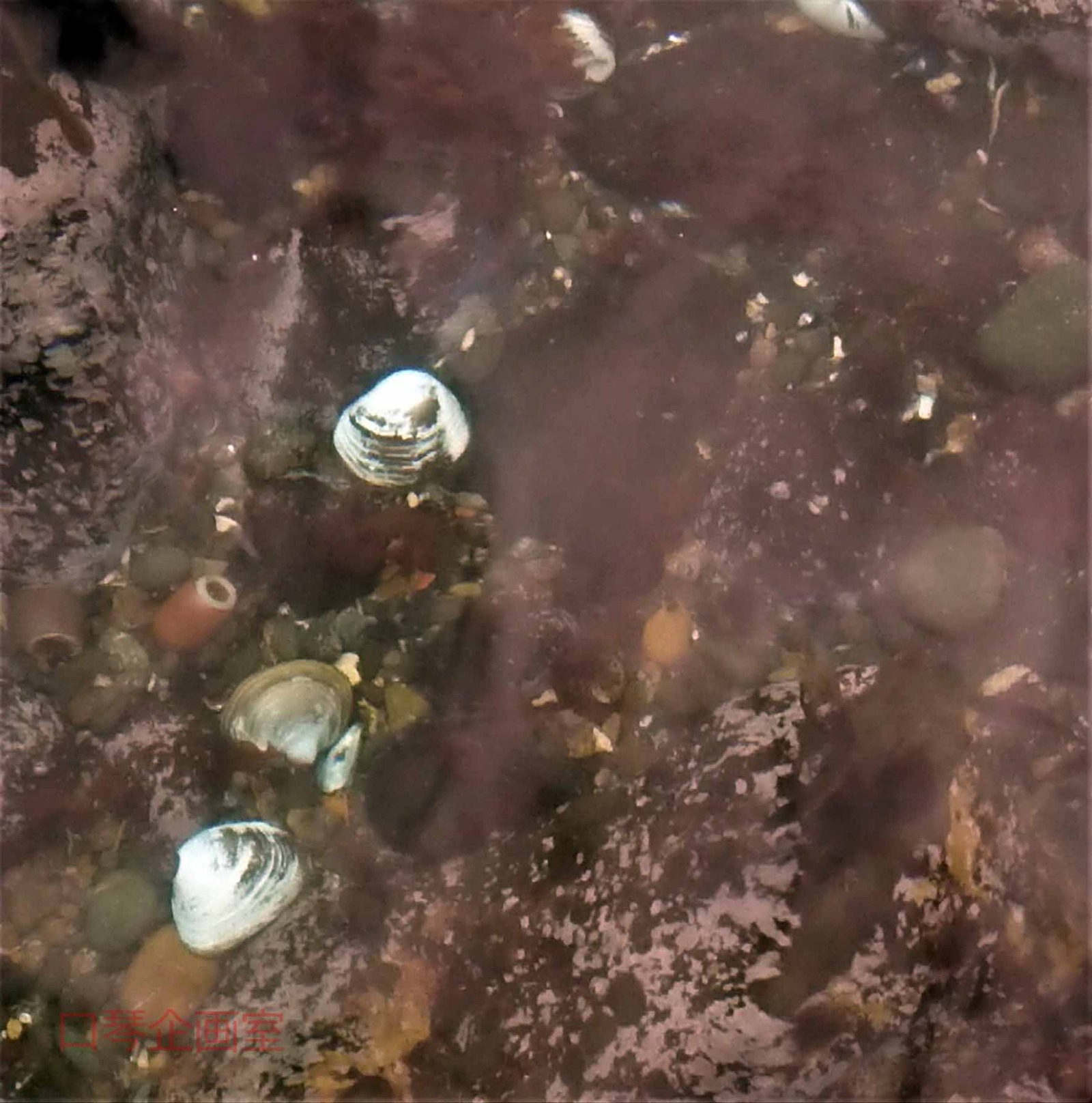 DSCPDC_0003_BURST20210829145100807_COVER