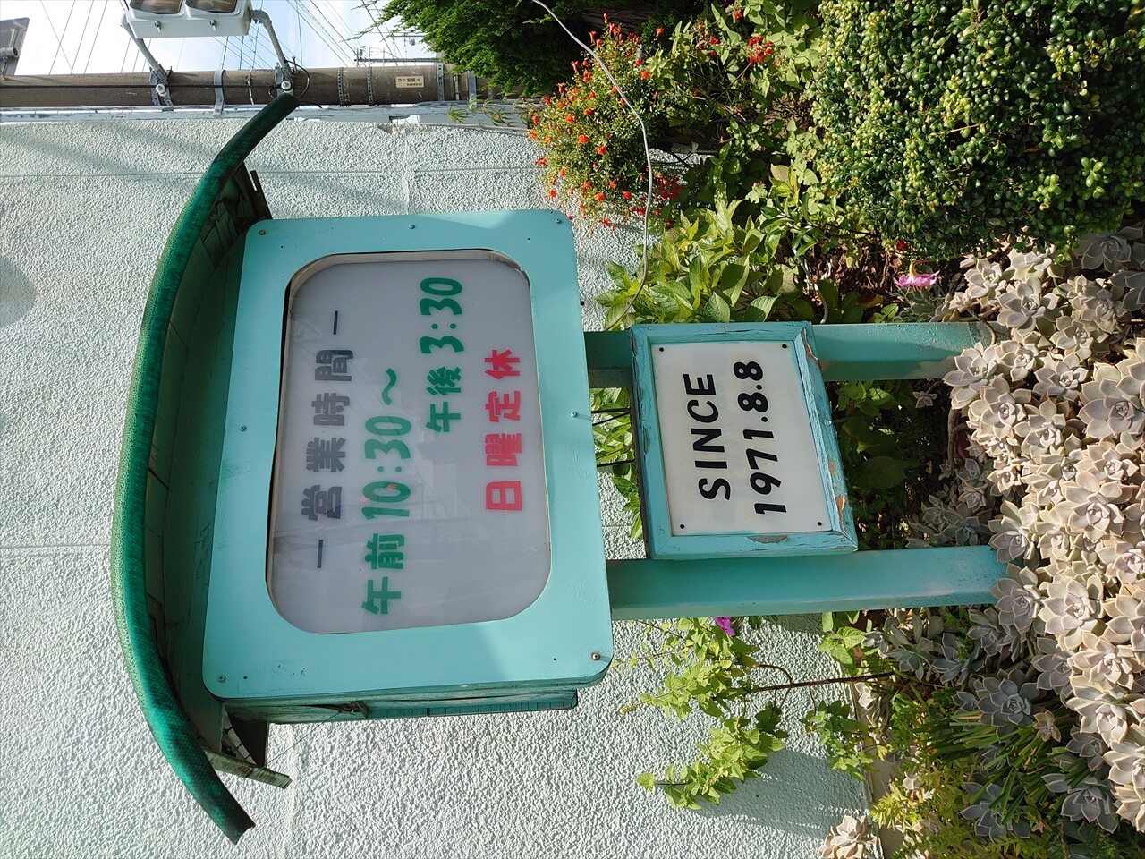 IMG_20240622_104956_R