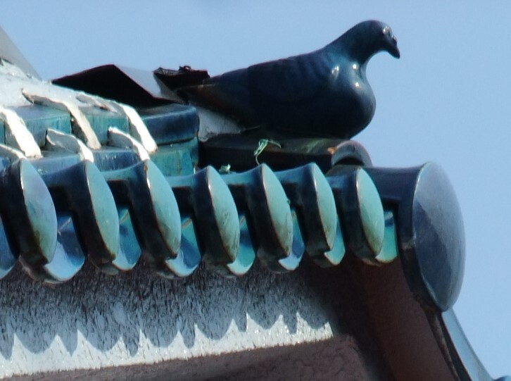 DSCF0626 - コピー