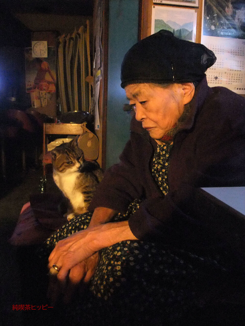 f:id:jkhippie:20200224110152j:plain