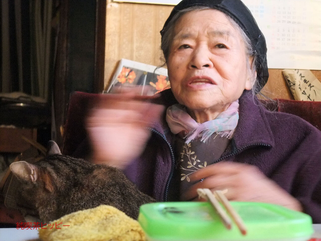 f:id:jkhippie:20200224105740j:plain