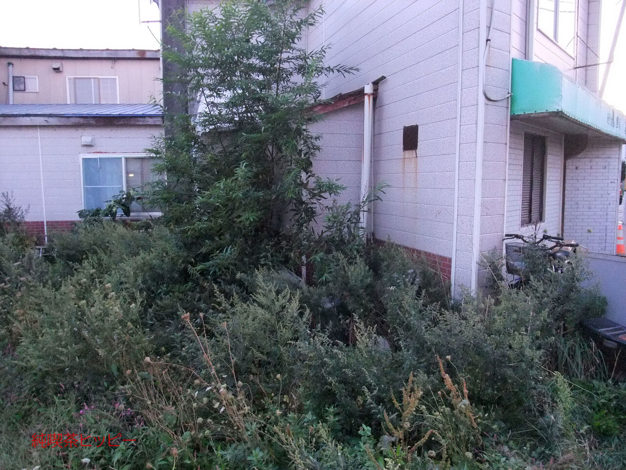 f:id:jkhippie:20200224105220j:plain