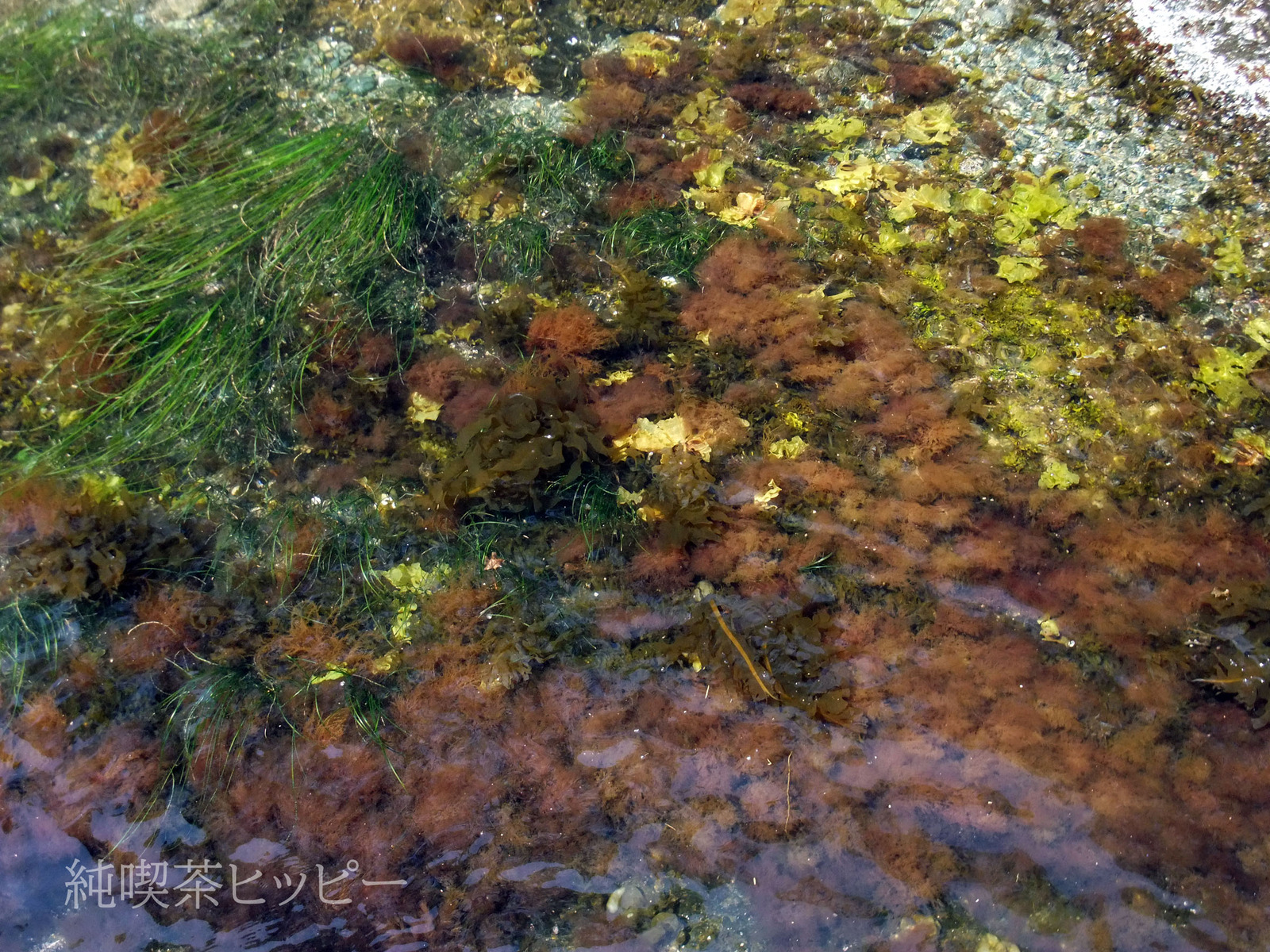 DSCF6048