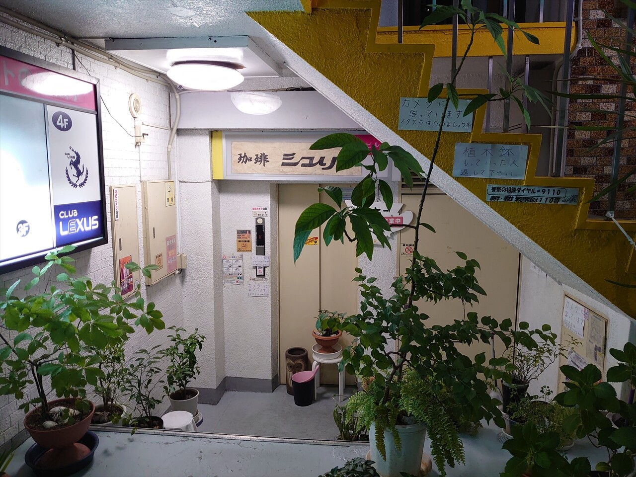 IMG_20240620_215432_R