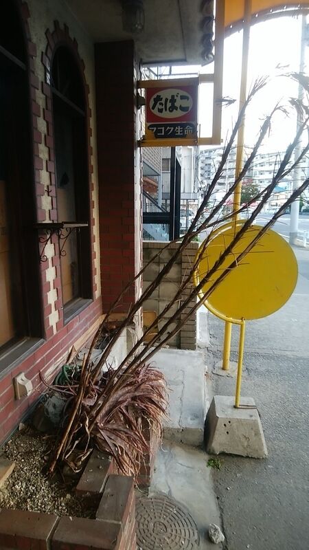 イメージ 28