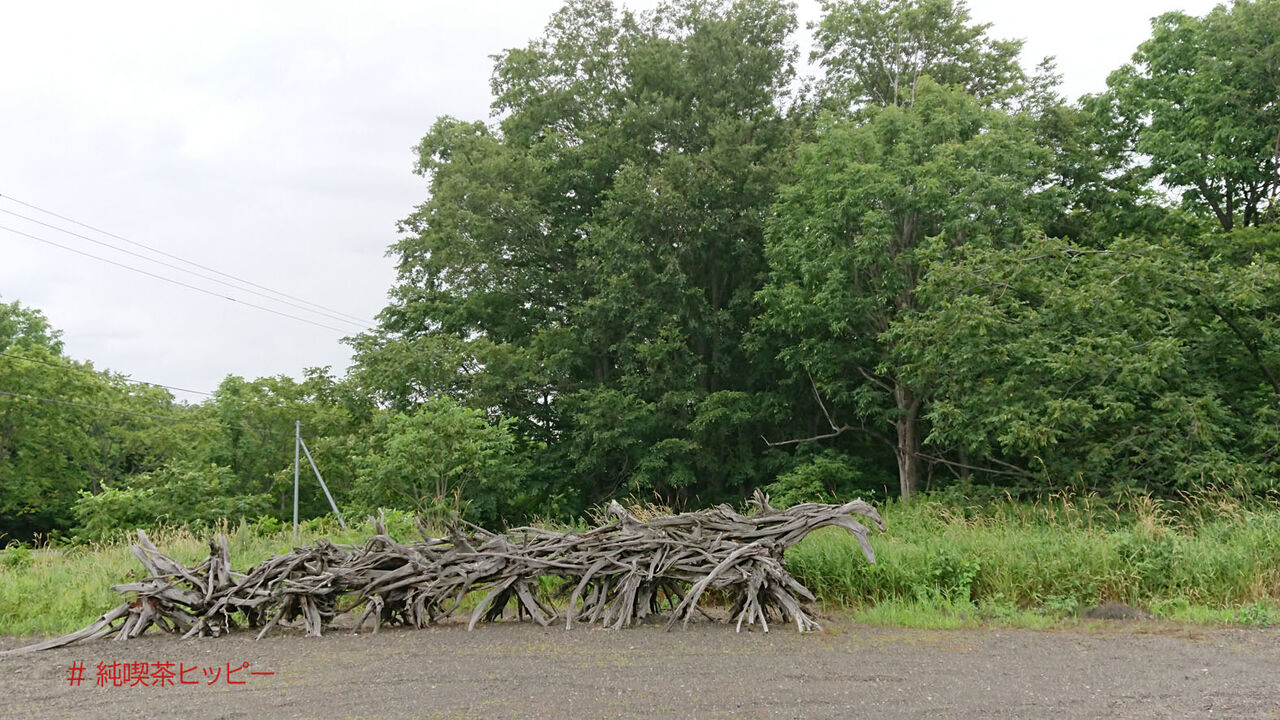 f:id:jkhippie:20200620093009j:plain