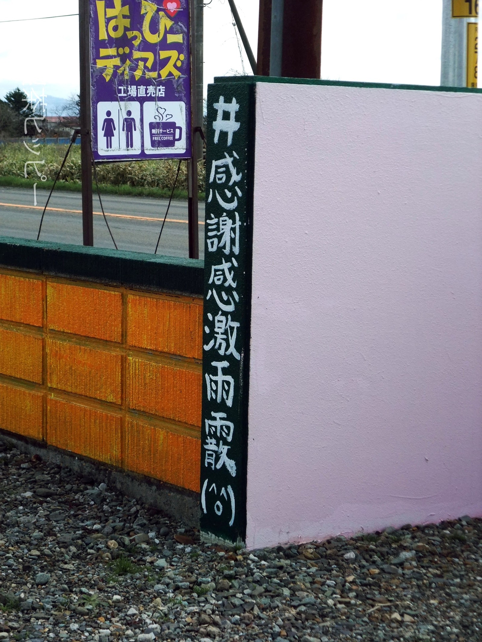 DSCF5410