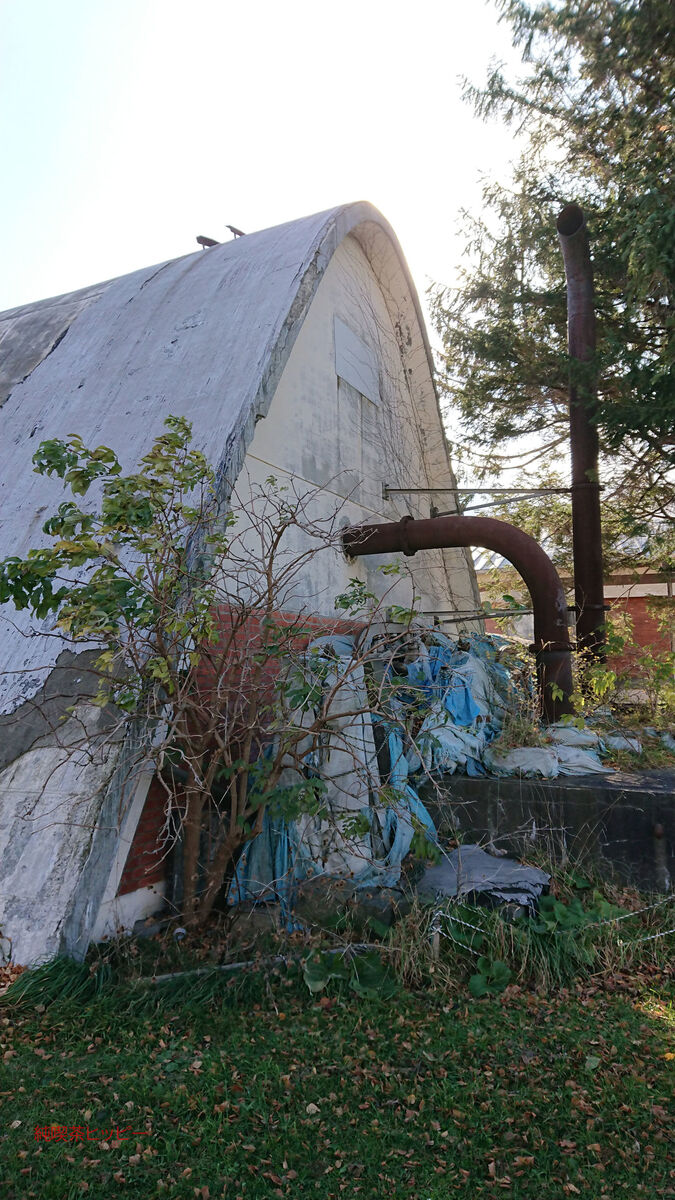 f:id:jkhippie:20191121230556j:plain f:id:jkhippie:20191121230556j:plain