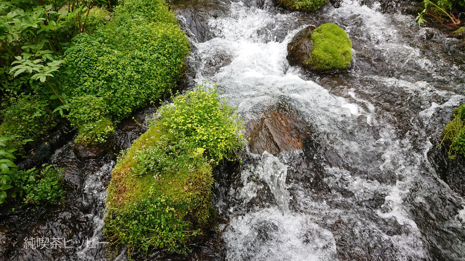 DSCPDC_0003_BURST20220514095026118_COVER