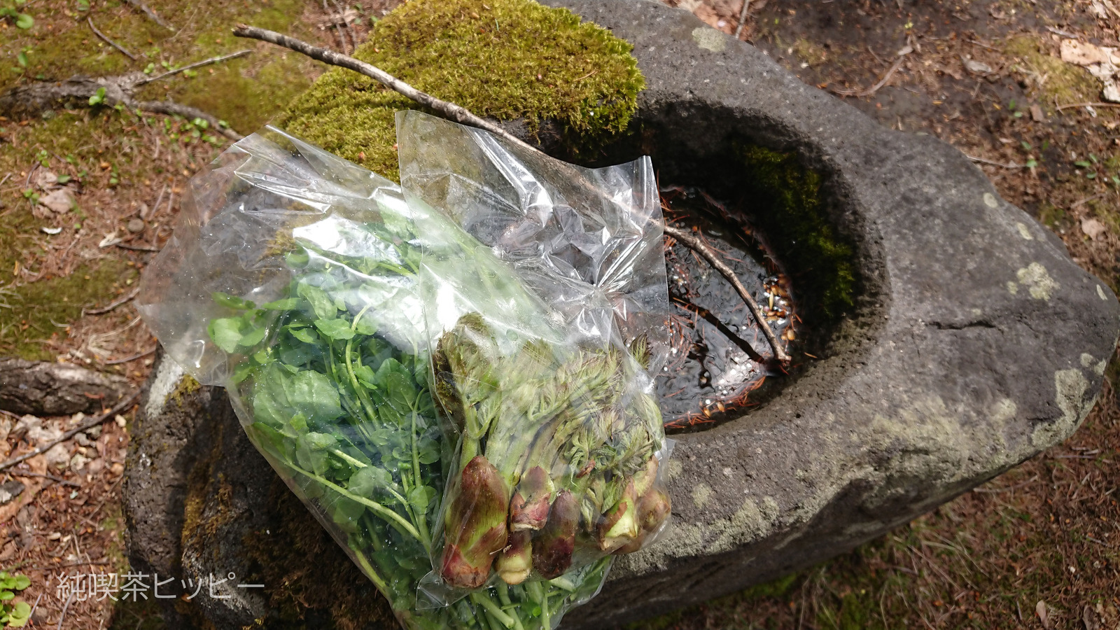 DSCPDC_0003_BURST20220514101748140_COVER