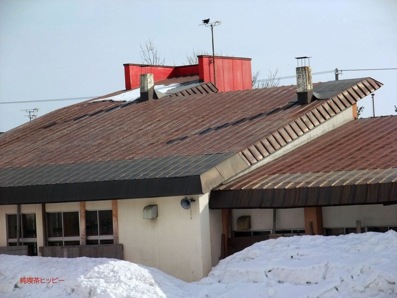 f:id:jkhippie:20200426100715j:plain