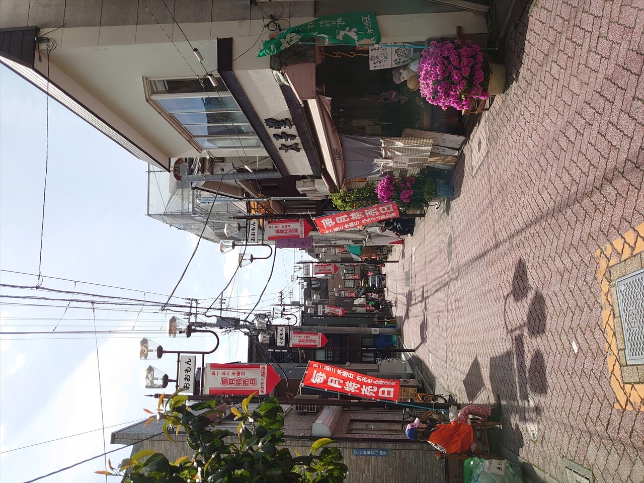 IMG_20240502_140411_R