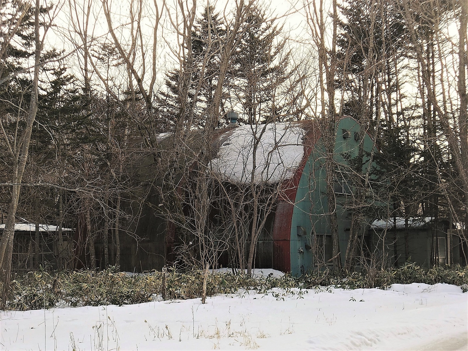 DSCF0079