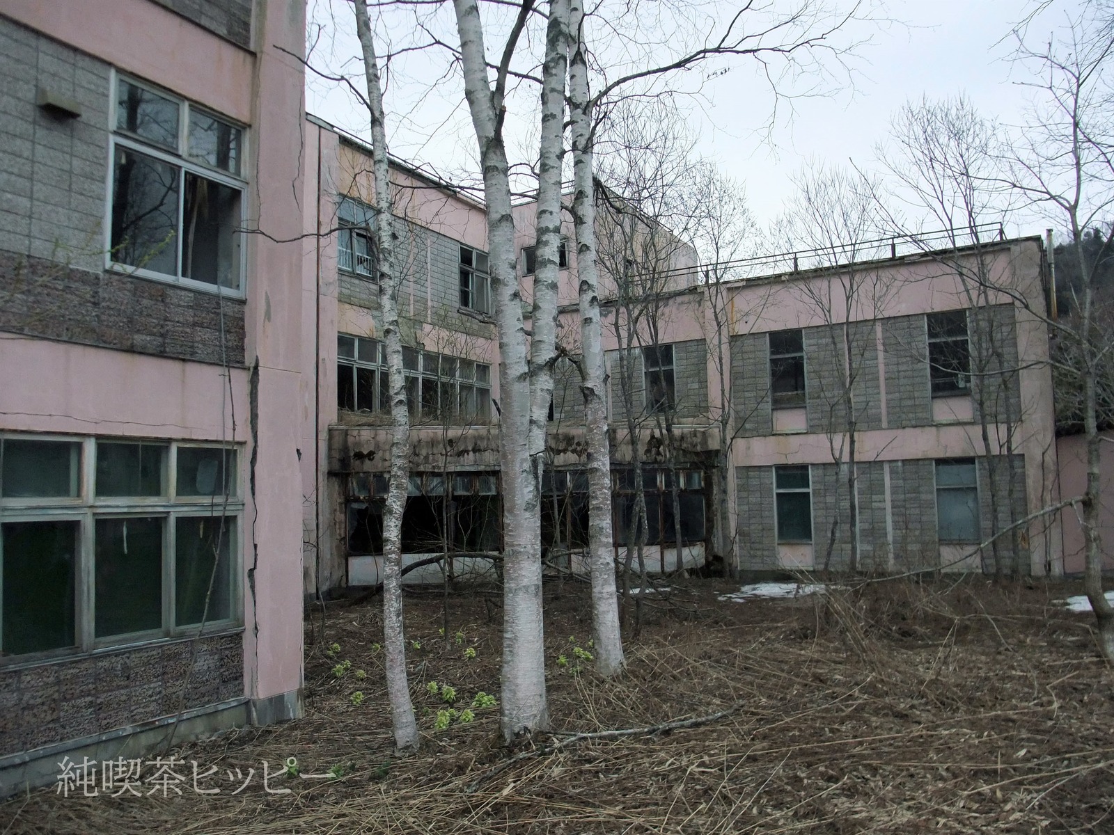 DSCF1482
