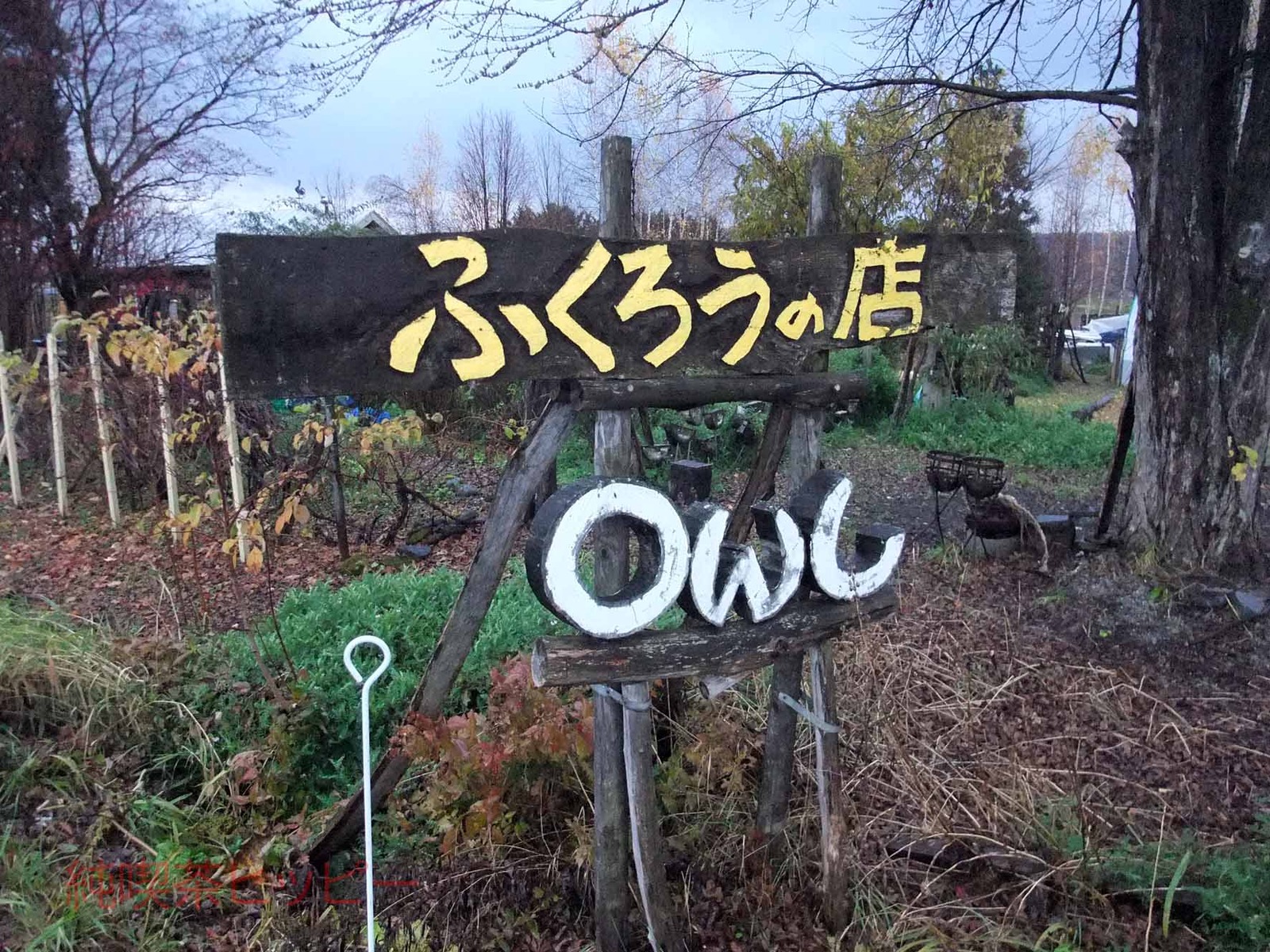 DSCF9447