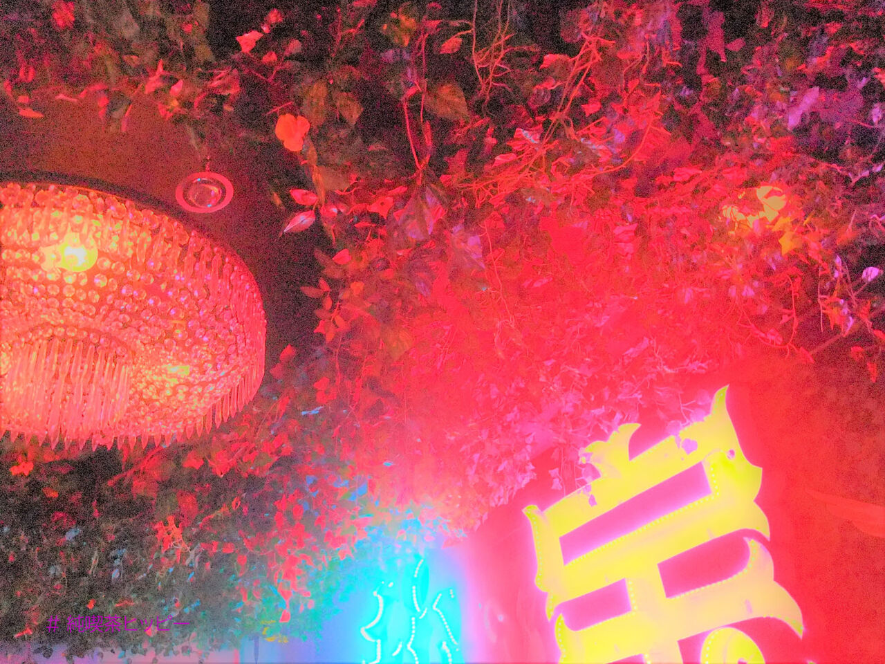 f:id:jkhippie:20200624091542j:plain